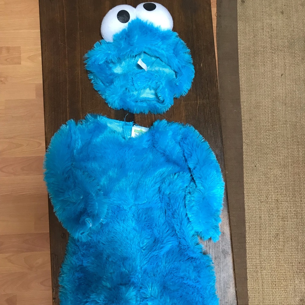 Cookie Monster costume